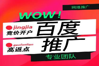 专业SEM服务托管方案案例分析